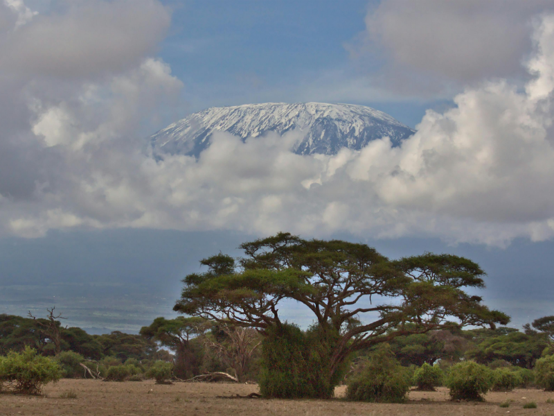 An image of a tour package on Forbhic Travel official website with a title that says Kilimanjaro Base Camp Trek.